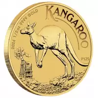  1/2oz Perth Mint Kangaroo 2024 Minted Coin Gold
